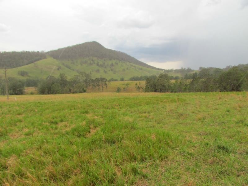 Curricabark NSW 2422