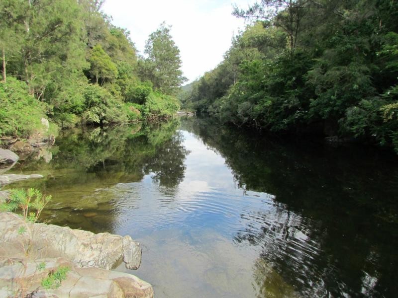Bindera NSW 2422