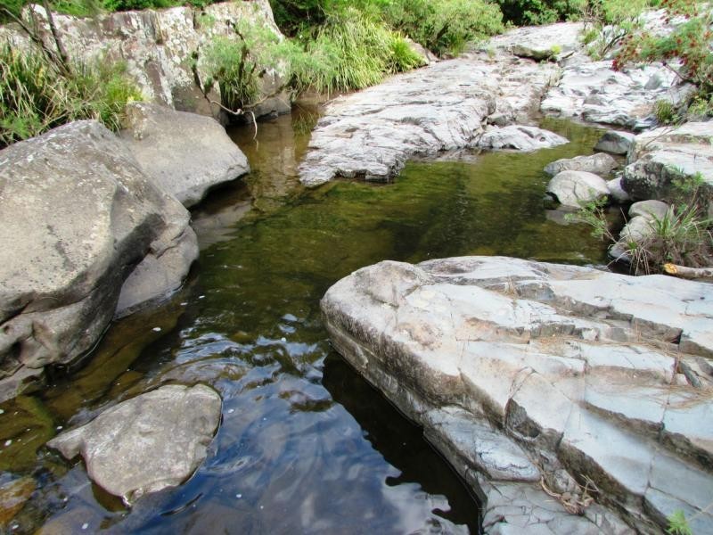 Bindera NSW 2422