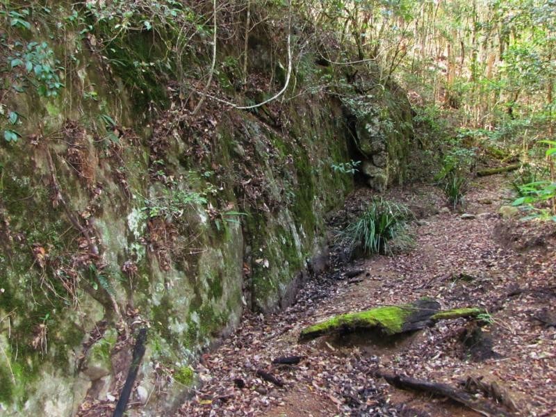 Wards River NSW 2422