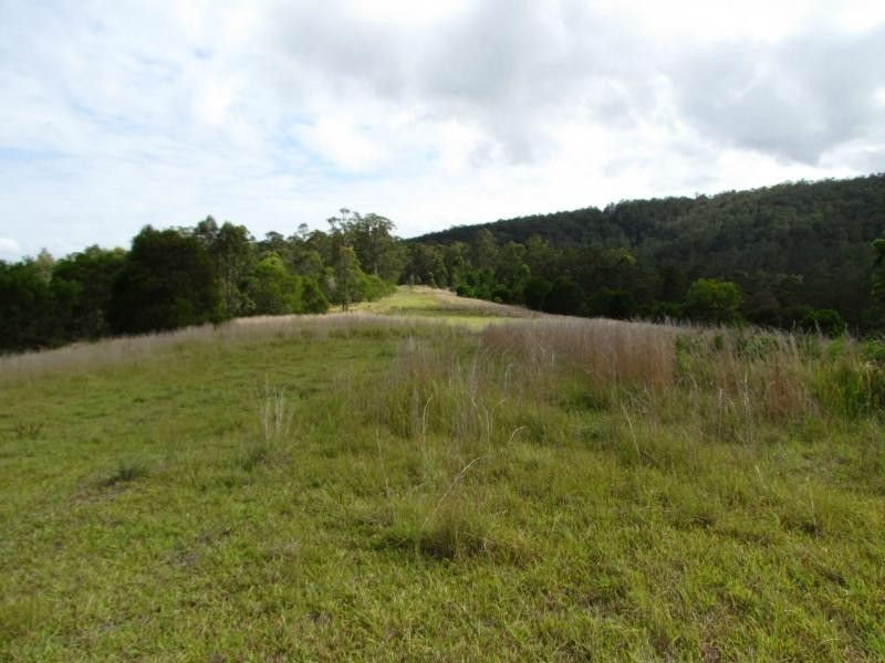 Wards River NSW 2422