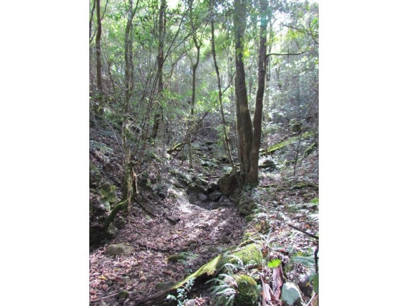 Wards River NSW 2422