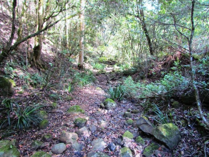 Wards River NSW 2422