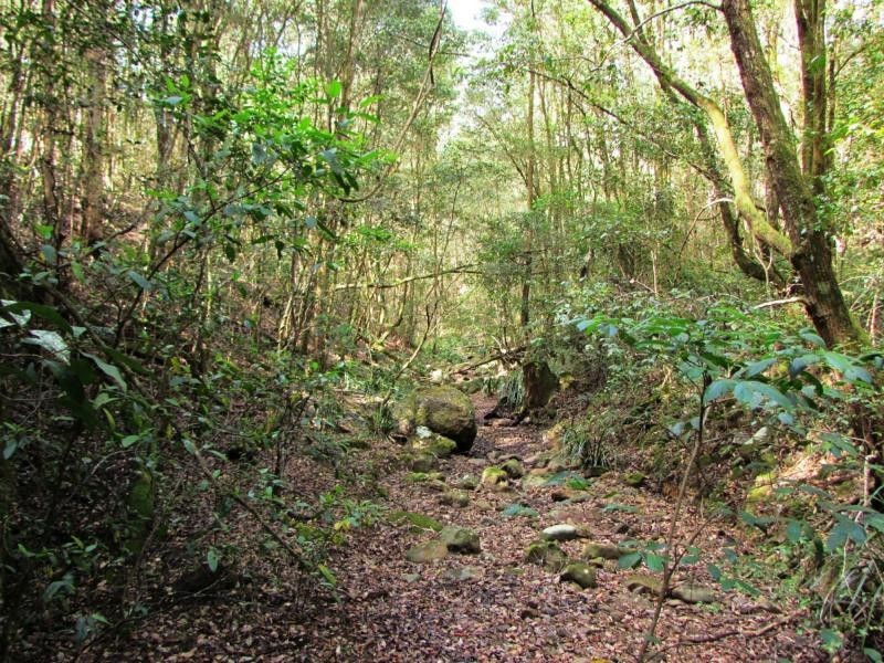 Wards River NSW 2422