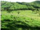 Gloucester NSW 2422