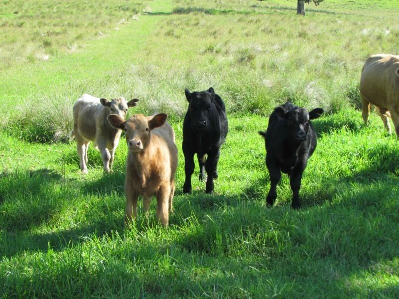 Gloucester NSW 2422