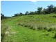 Gloucester NSW 2422