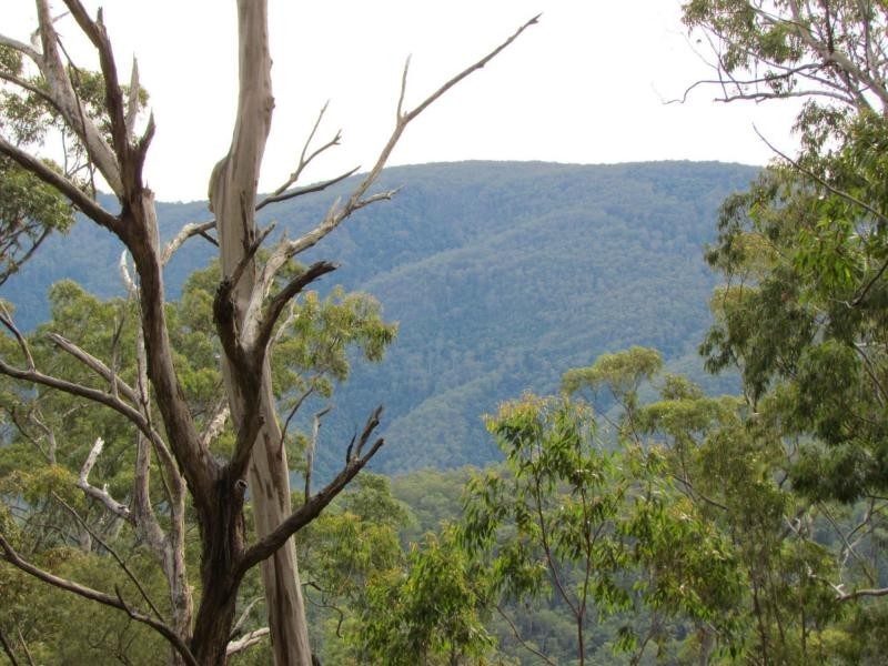 L86&129 Baxters Ridge Road, Gloucester NSW 2422