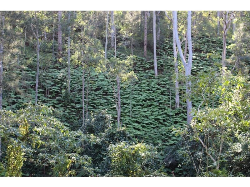 L86&129 Baxters Ridge Road, Gloucester NSW 2422