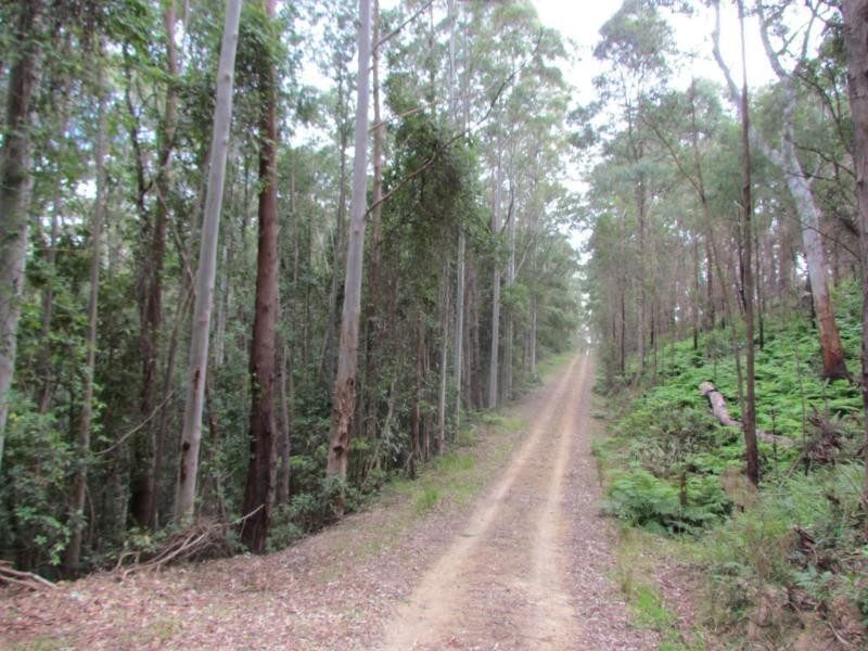 L86&129 Baxters Ridge Road, Gloucester NSW 2422