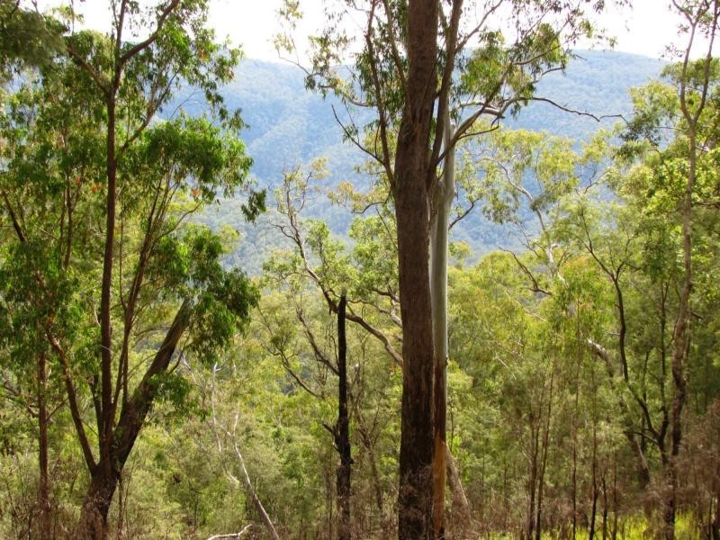 L86&129 Baxters Ridge Road, Gloucester NSW 2422