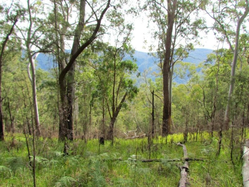 L86&129 Baxters Ridge Road, Gloucester NSW 2422