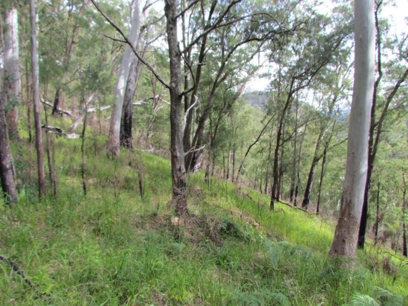 L86&129 Baxters Ridge Road, Gloucester NSW 2422