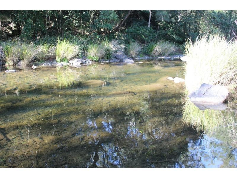 L86&129 Baxters Ridge Road, Gloucester NSW 2422