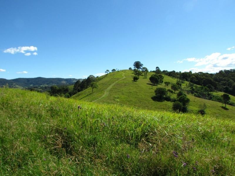 Bucca Wauka NSW 2429