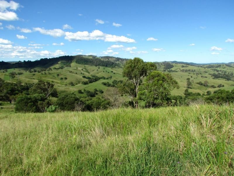 Bucca Wauka NSW 2429
