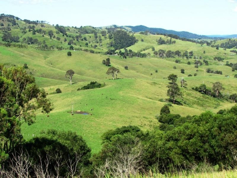 Bucca Wauka NSW 2429