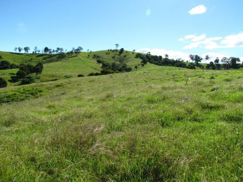 Bucca Wauka NSW 2429