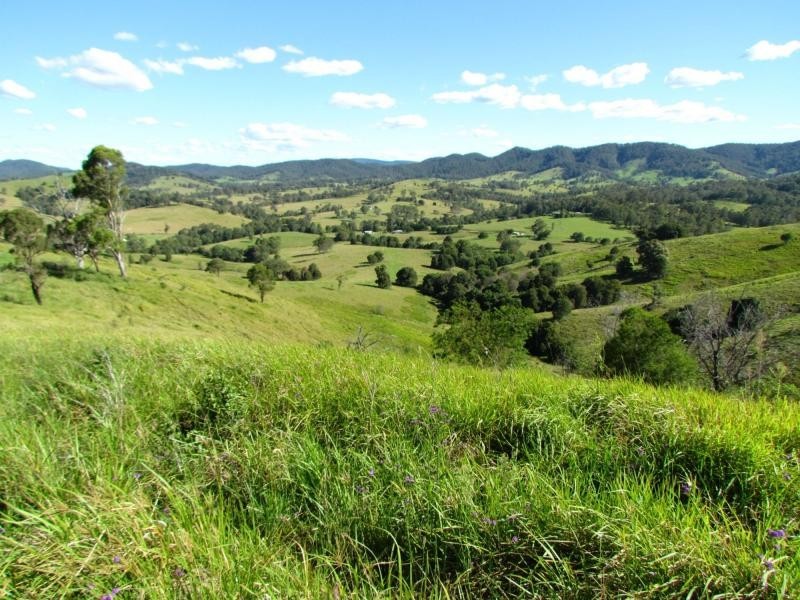 Bucca Wauka NSW 2429