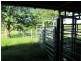 Bucca Wauka NSW 2429