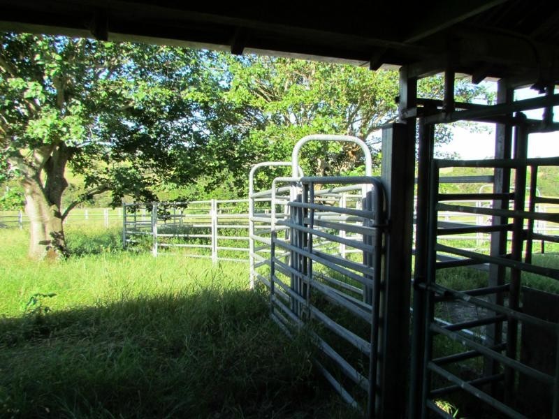 Bucca Wauka NSW 2429