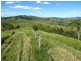 Bucca Wauka NSW 2429