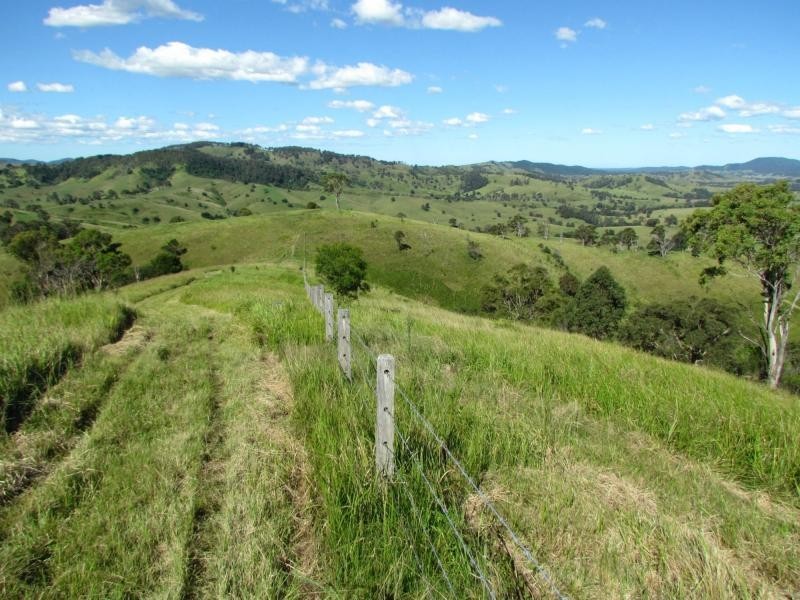 Bucca Wauka NSW 2429