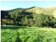 Copeland NSW 2422