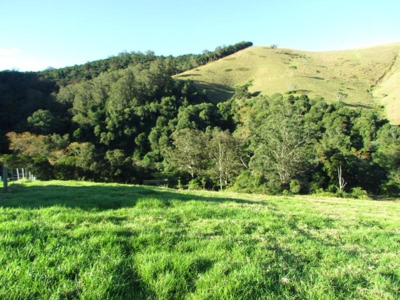 Copeland NSW 2422