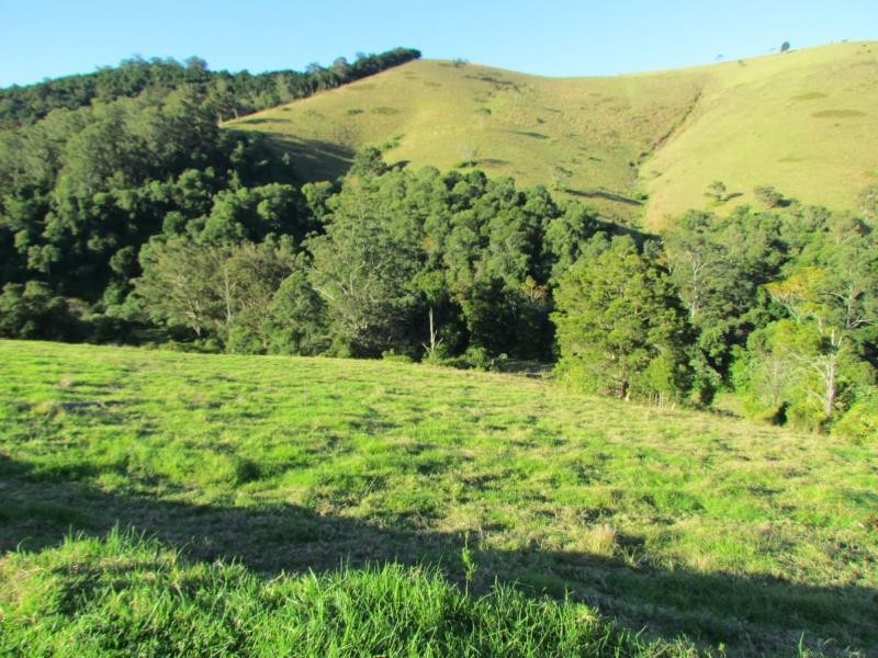 Copeland NSW 2422