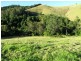 Copeland NSW 2422