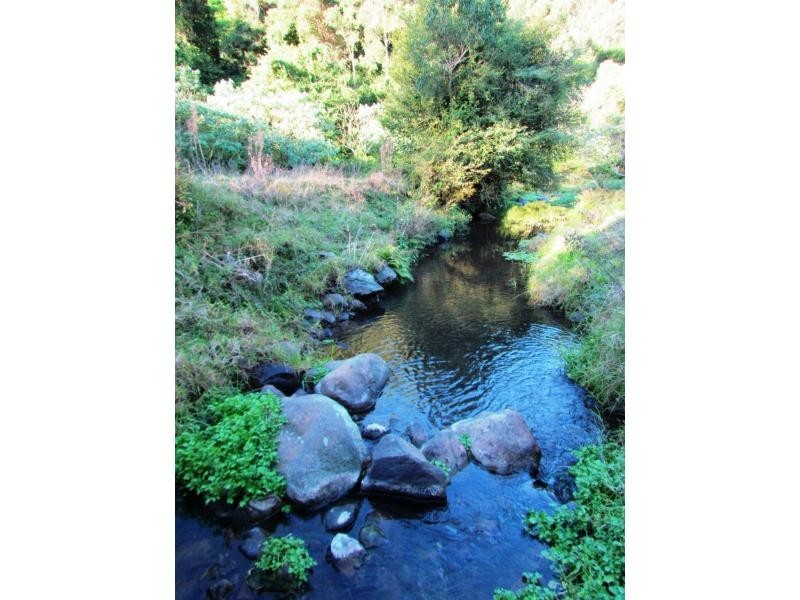 Copeland NSW 2422