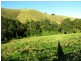 Copeland NSW 2422