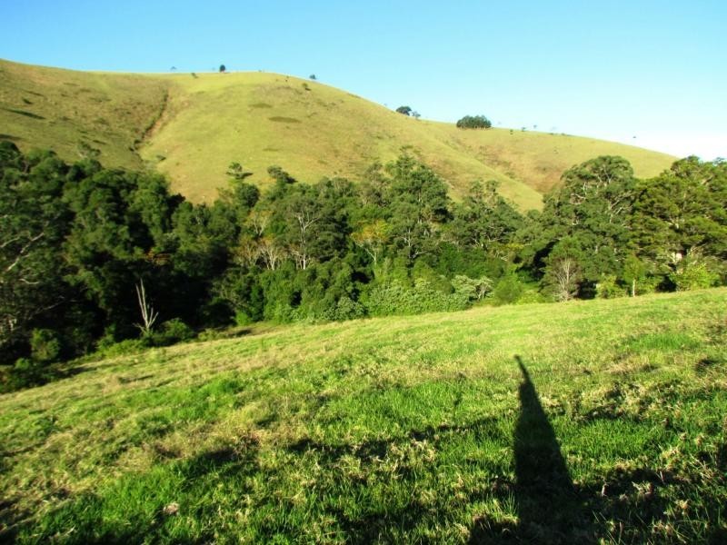 Copeland NSW 2422