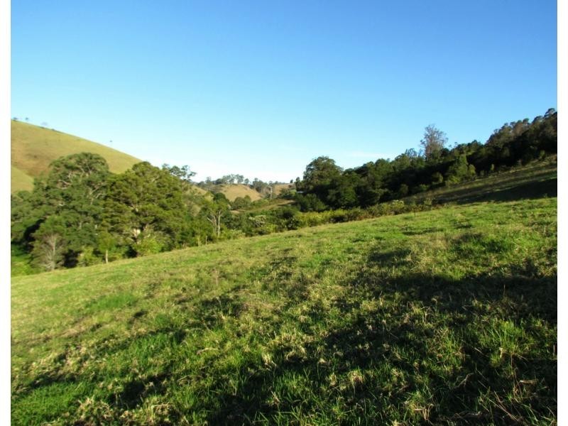 Copeland NSW 2422