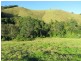 Copeland NSW 2422
