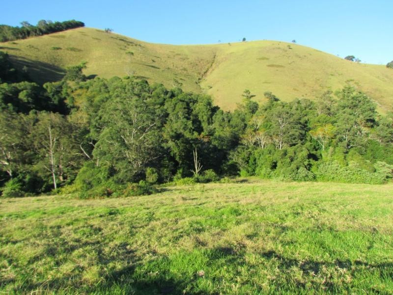 Copeland NSW 2422