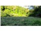 Copeland NSW 2422