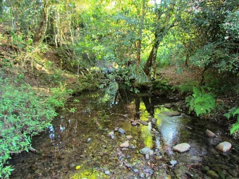 Copeland NSW 2422