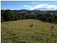 Bucca Wauka NSW 2429