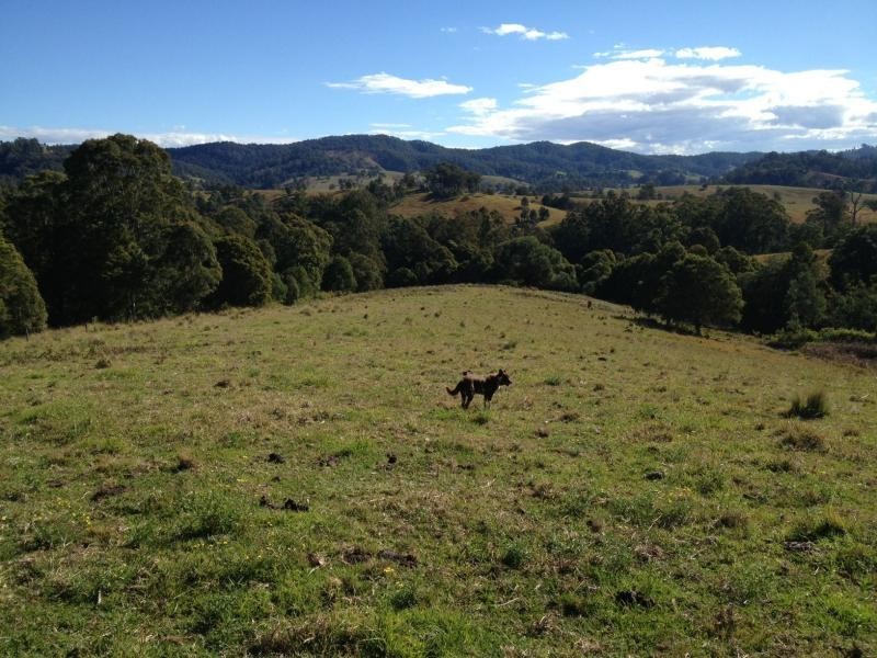 Bucca Wauka NSW 2429