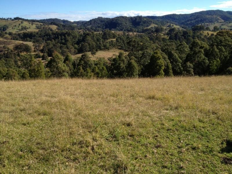 Bucca Wauka NSW 2429