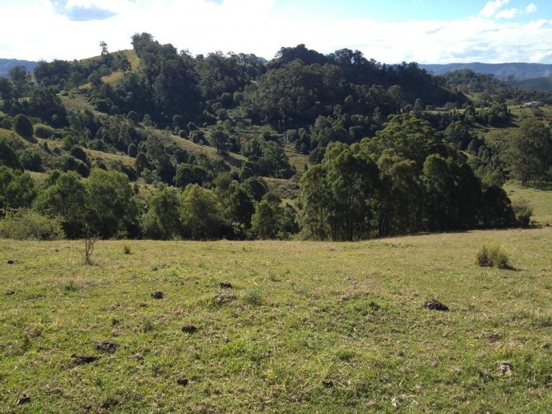 Bucca Wauka NSW 2429