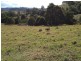 Bucca Wauka NSW 2429
