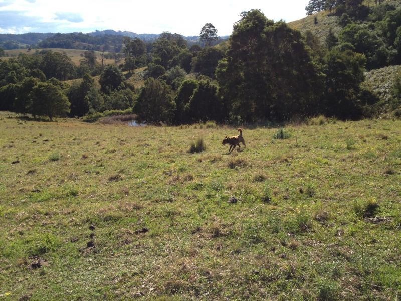 Bucca Wauka NSW 2429