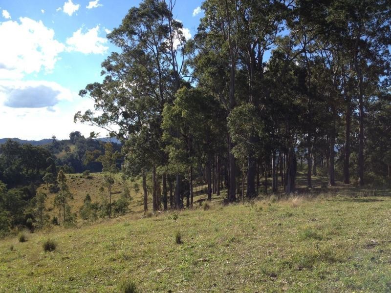 Bucca Wauka NSW 2429