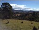 Bucca Wauka NSW 2429