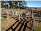 68 Nowendoc Road , Nowendoc Saleyards, Nowendoc NSW 2354