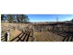 68 Nowendoc Road , Nowendoc Saleyards, Nowendoc NSW 2354