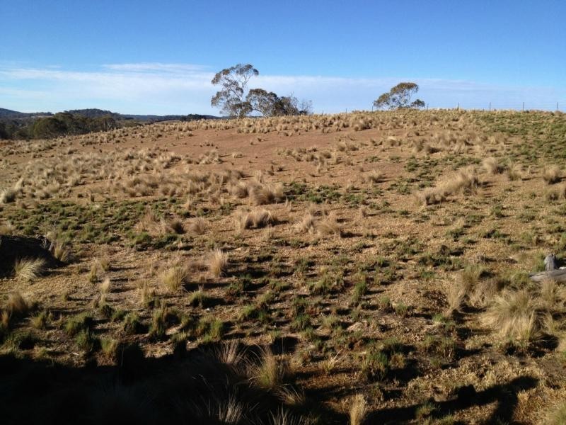 68 Nowendoc Road , Nowendoc Saleyards, Nowendoc NSW 2354